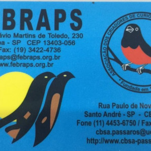 FEBRAPS