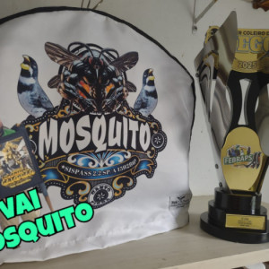ENTREGA DOS TRÓFEUS DO SUPER COLEIRO DO NEGO 2025