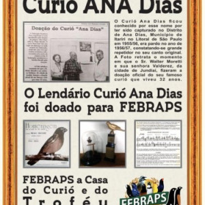 CURIÓ E TROFÉU ANA DIAS SUA CASA É AQUI