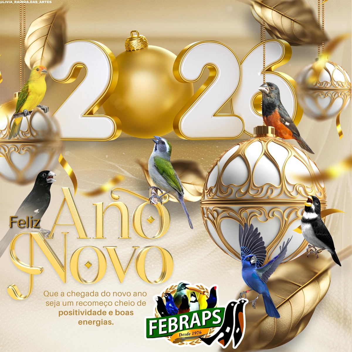 FELIZ ANO NOVO!