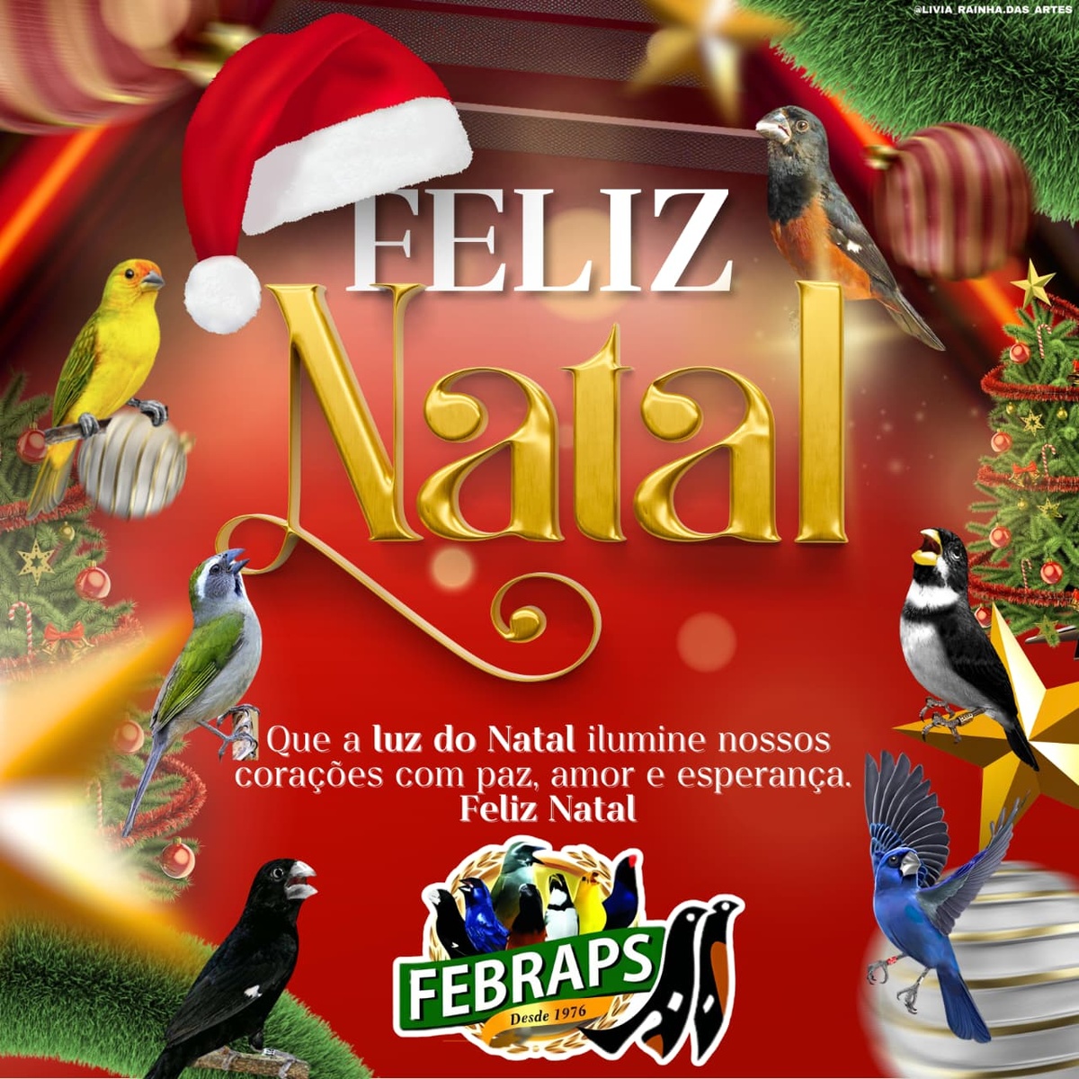 FELIZ NATAL!!!