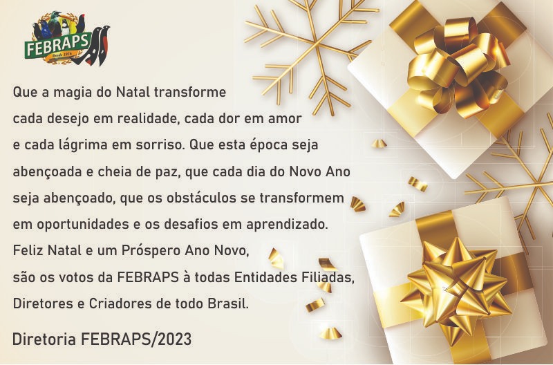 BOAS FESTAS!!