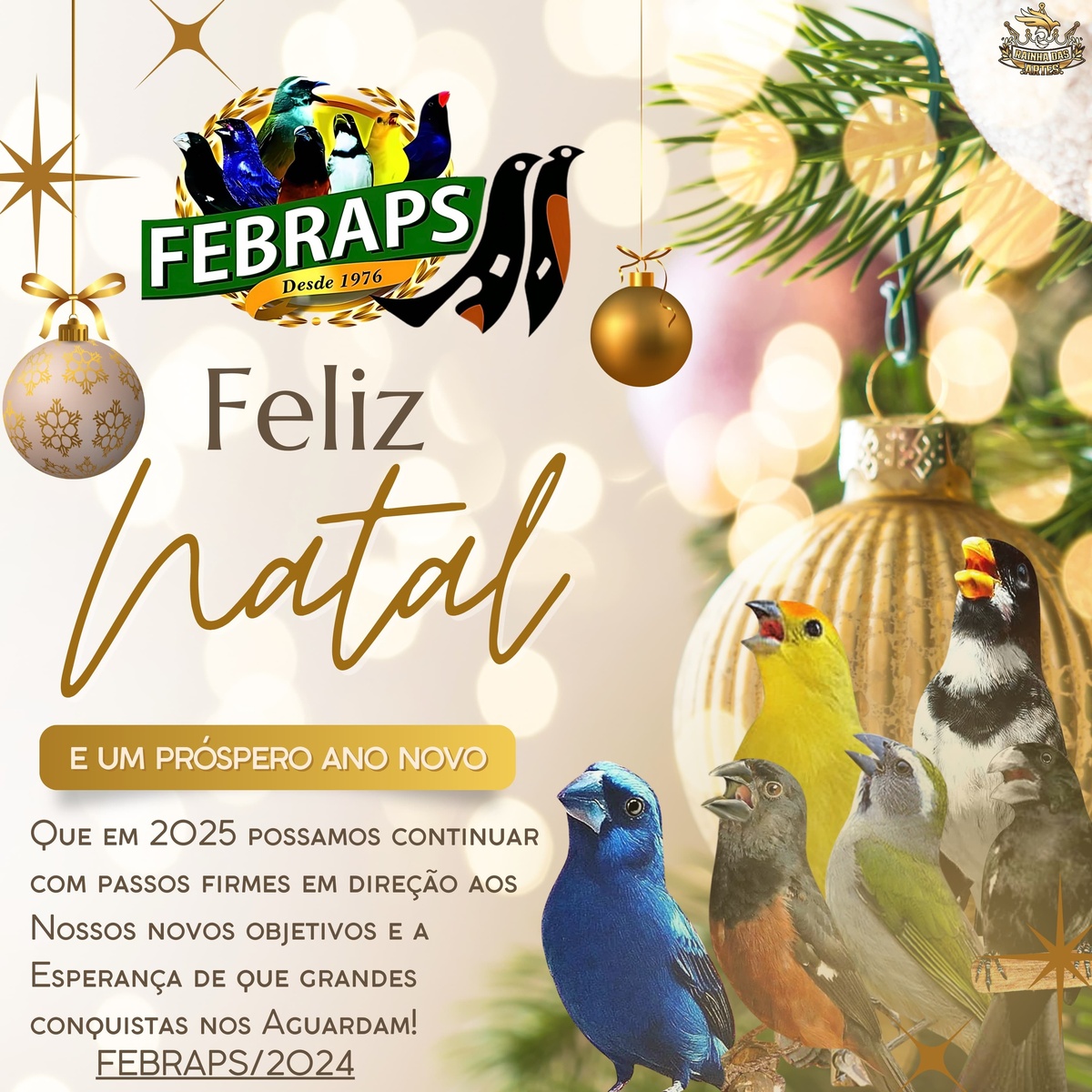 FELIZ NATAL E UM ANO NOVO ABENÇOADO À TODOS!!!
