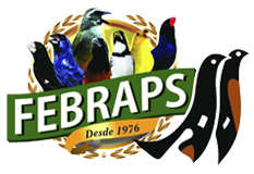 FEBRAPS