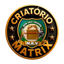 Matrix